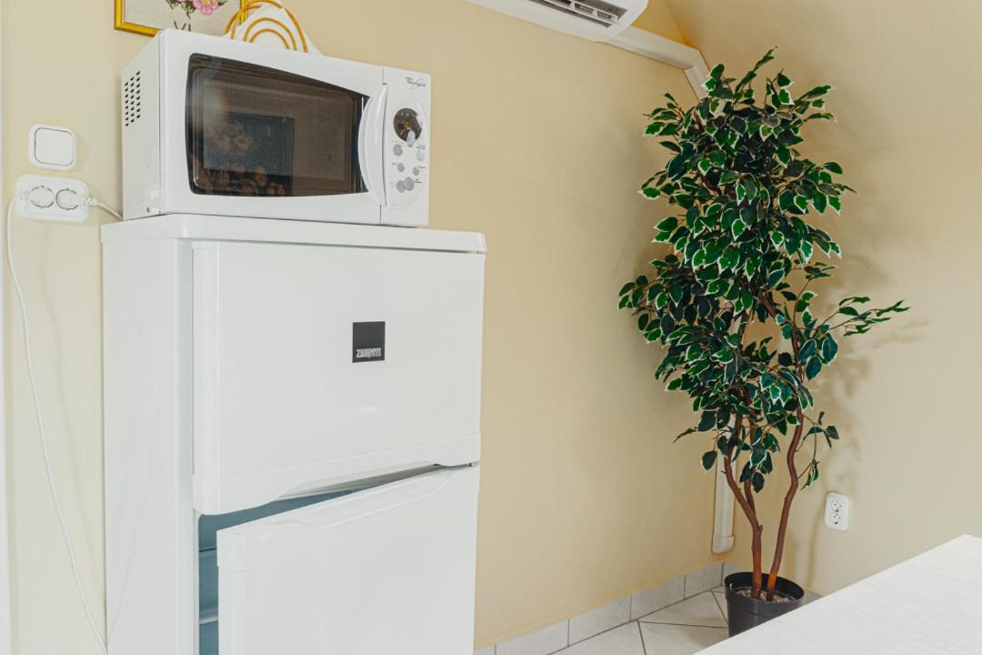 Bianka Apartman 巴拉通雷勒 外观 照片